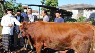 Idul Adha, Momentum Ubah Status Pandemi ke Endemi