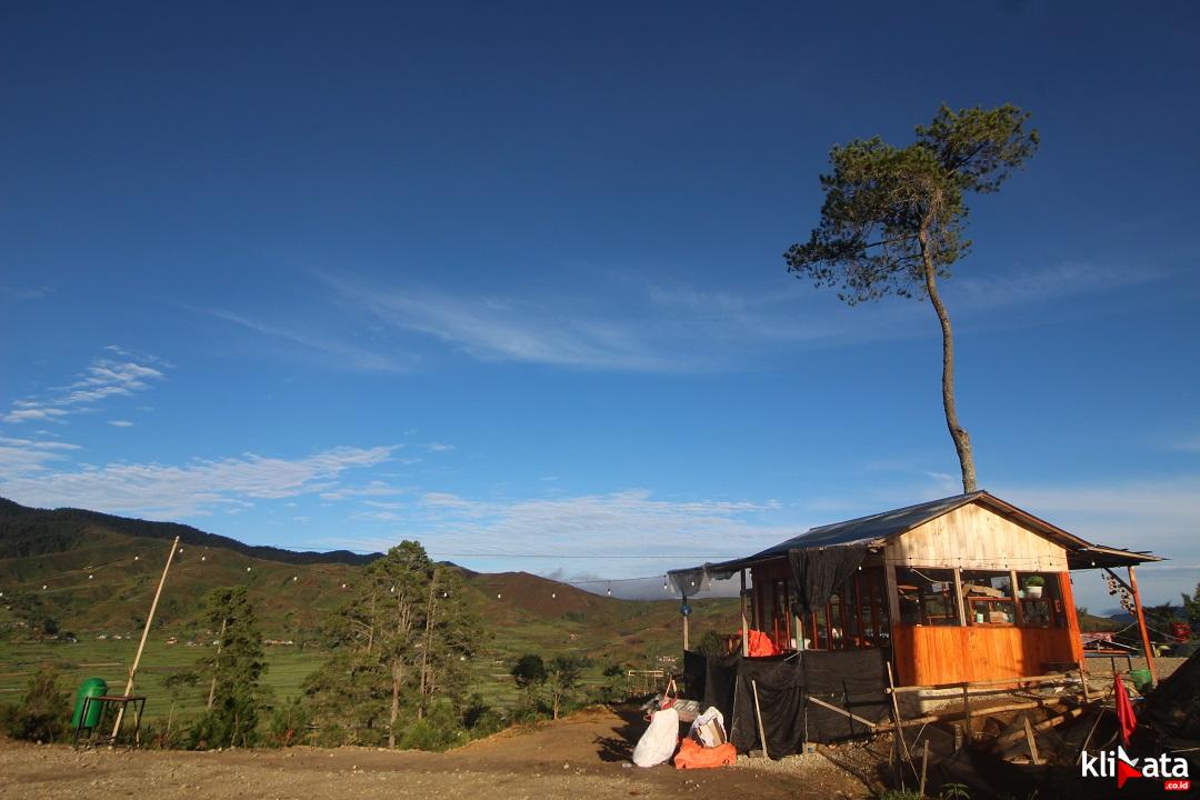Lapau